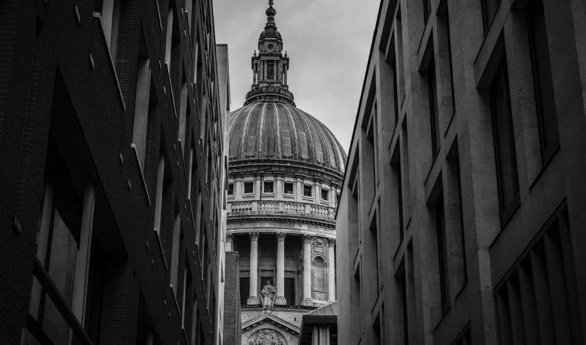 vector art - Design Revolve